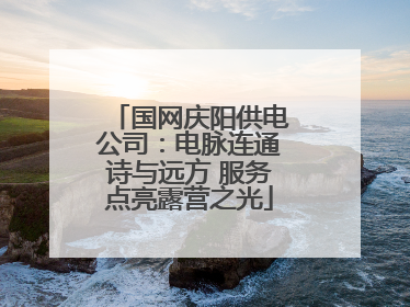 国网庆阳供电公司：电脉连通诗与远方 服务点亮露营之光