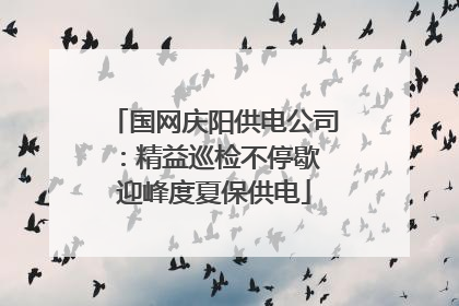 国网庆阳供电公司：精益巡检不停歇 迎峰度夏保供电