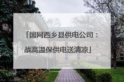 国网西乡县供电公司：战高温保供电送清凉