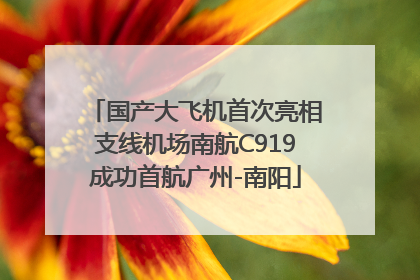 国产大飞机首次亮相支线机场南航C919成功首航广州-南阳