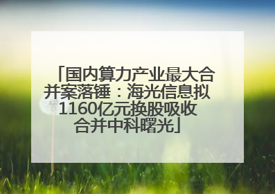 国内算力产业最大合并案落锤：海光信息拟1160亿元换股吸收合并中科曙光