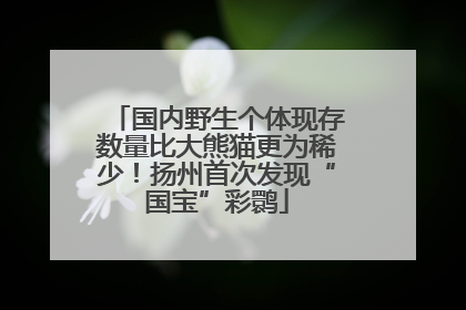 国内野生个体现存数量比大熊猫更为稀少！扬州首次发现“国宝”彩鹮