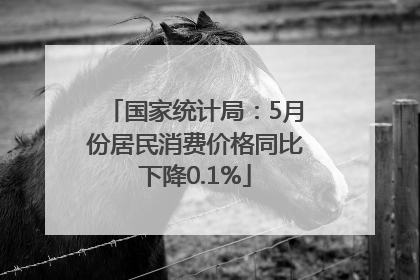 国家统计局：5月份居民消费价格同比下降0.1%