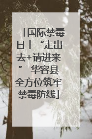 国际禁毒日丨“走出去+请进来” 华容县全方位筑牢禁毒防线