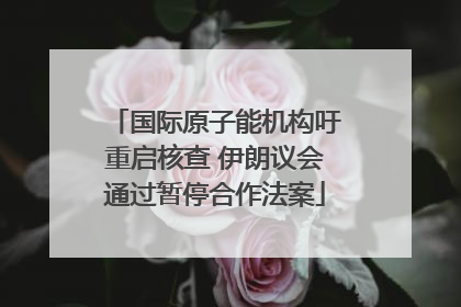 国际原子能机构吁重启核查 伊朗议会通过暂停合作法案
