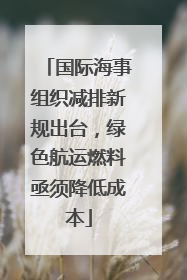 国际海事组织减排新规出台，绿色航运燃料亟须降低成本