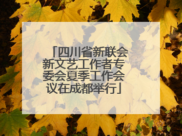 四川省新联会新文艺工作者专委会夏季工作会议在成都举行