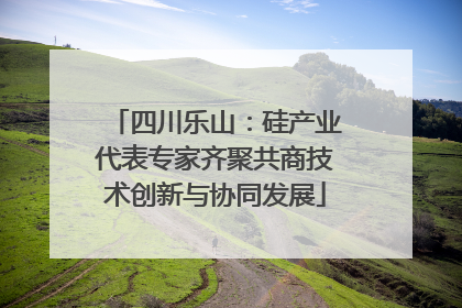 四川乐山：硅产业代表专家齐聚共商技术创新与协同发展