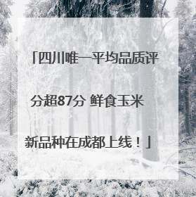 四川唯一平均品质评分超87分 鲜食玉米新品种在成都上线！