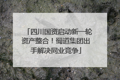 四川国资启动新一轮资产整合！蜀道集团出手解决同业竞争