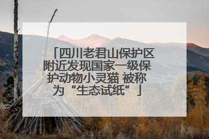 四川老君山保护区附近发现国家一级保护动物小灵猫 被称为“生态试纸”