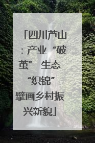 四川芦山：产业“破茧” 生态“织锦” 擘画乡村振兴新貌