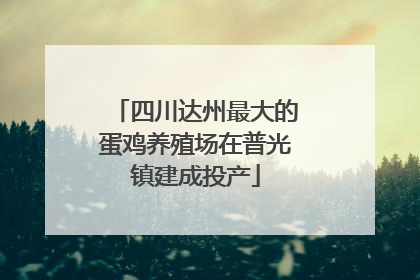 四川达州最大的蛋鸡养殖场在普光镇建成投产