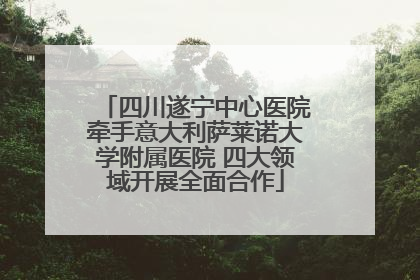 四川遂宁中心医院牵手意大利萨莱诺大学附属医院 四大领域开展全面合作