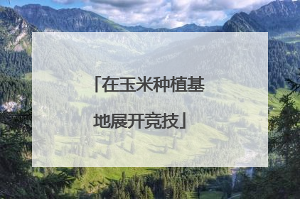 在玉米种植基地展开竞技