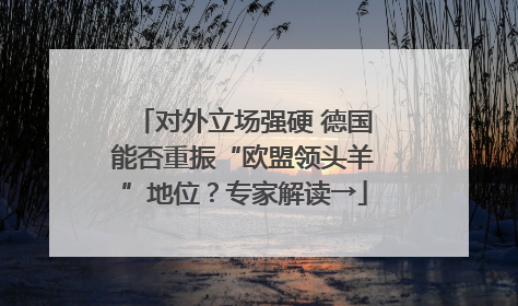 对外立场强硬 德国能否重振“欧盟领头羊”地位？专家解读→