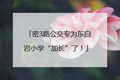 密3路公交专为东白岩小学“加长”了！