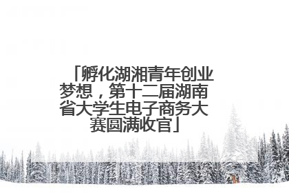 孵化湖湘青年创业梦想，第十二届湖南省大学生电子商务大赛圆满收官