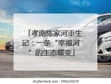 孝南陈家河重生记：一条“幸福河”的生态蝶变