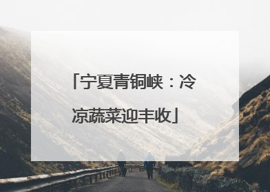宁夏青铜峡：冷凉蔬菜迎丰收