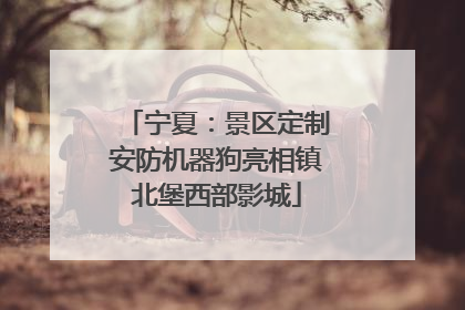 宁夏：景区定制安防机器狗亮相镇北堡西部影城