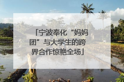 宁波奉化“妈妈团”与大学生的跨界合作惊艳全场
