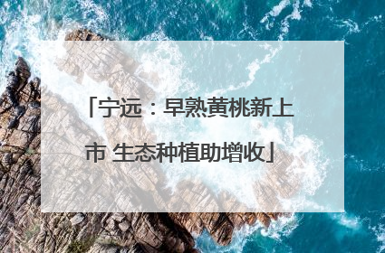 宁远：早熟黄桃新上市 生态种植助增收