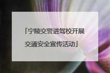 宁陵交警进驾校开展交通安全宣传活动