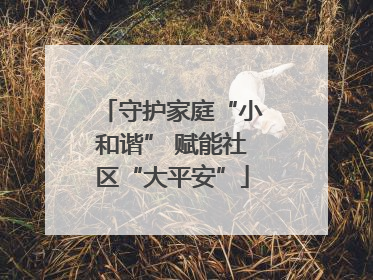 守护家庭“小和谐” 赋能社区“大平安”