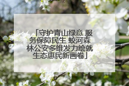 守护青山绿意 服务保障民生 蛟河森林公安多维发力绘就生态惠民新画卷