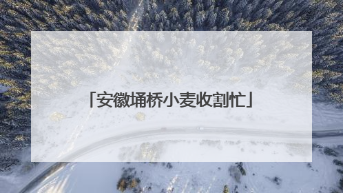 安徽埇桥小麦收割忙