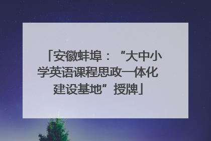 安徽蚌埠：“大中小学英语课程思政一体化建设基地”授牌