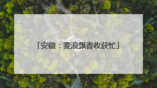 安徽：麦浪飘香收获忙