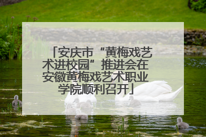 安庆市“黄梅戏艺术进校园”推进会在安徽黄梅戏艺术职业学院顺利召开
