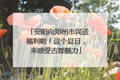 安阳向郑州市民送福利啦！这个夏日，来感受古都魅力