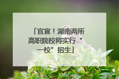 官宣！湖南两所高职院校将实行“一校”招生