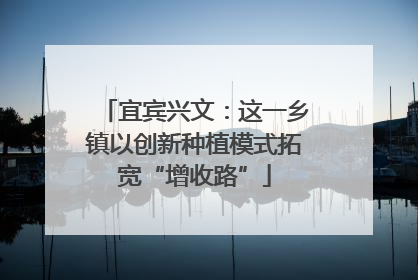 宜宾兴文：这一乡镇以创新种植模式拓宽“增收路”
