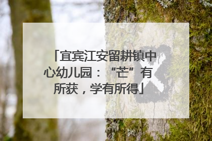 宜宾江安留耕镇中心幼儿园：“芒”有所获，学有所得