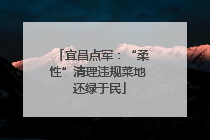 宜昌点军：“柔性”清理违规菜地 还绿于民