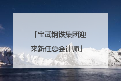 宝武钢铁集团迎来新任总会计师