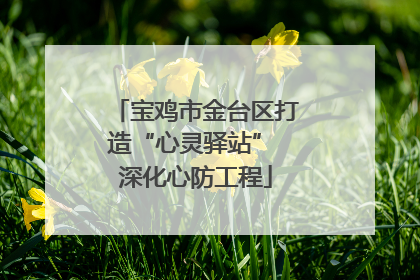 宝鸡市金台区打造“心灵驿站” 深化心防工程