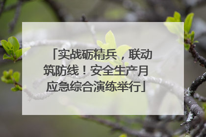 实战砺精兵，联动筑防线！安全生产月应急综合演练举行