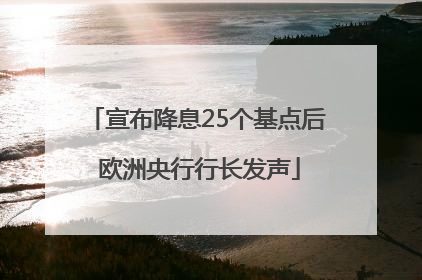 宣布降息25个基点后 欧洲央行行长发声