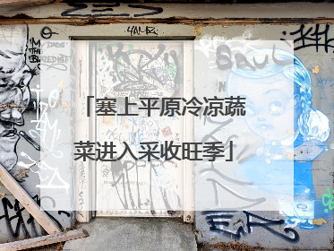 塞上平原冷凉蔬菜进入采收旺季