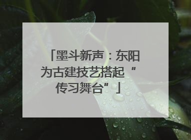 墨斗新声：东阳为古建技艺搭起“传习舞台”