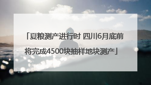 夏粮测产进行时 四川6月底前将完成4500块抽样地块测产