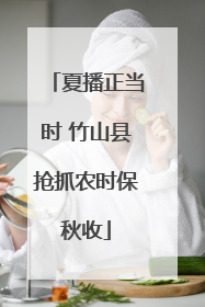 夏播正当时 竹山县抢抓农时保秋收