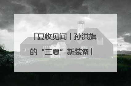 夏收见闻丨孙洪旗的“三夏”新装备