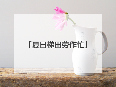夏日梯田劳作忙