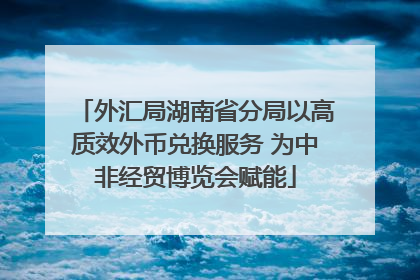 外汇局湖南省分局以高质效外币兑换服务 为中非经贸博览会赋能